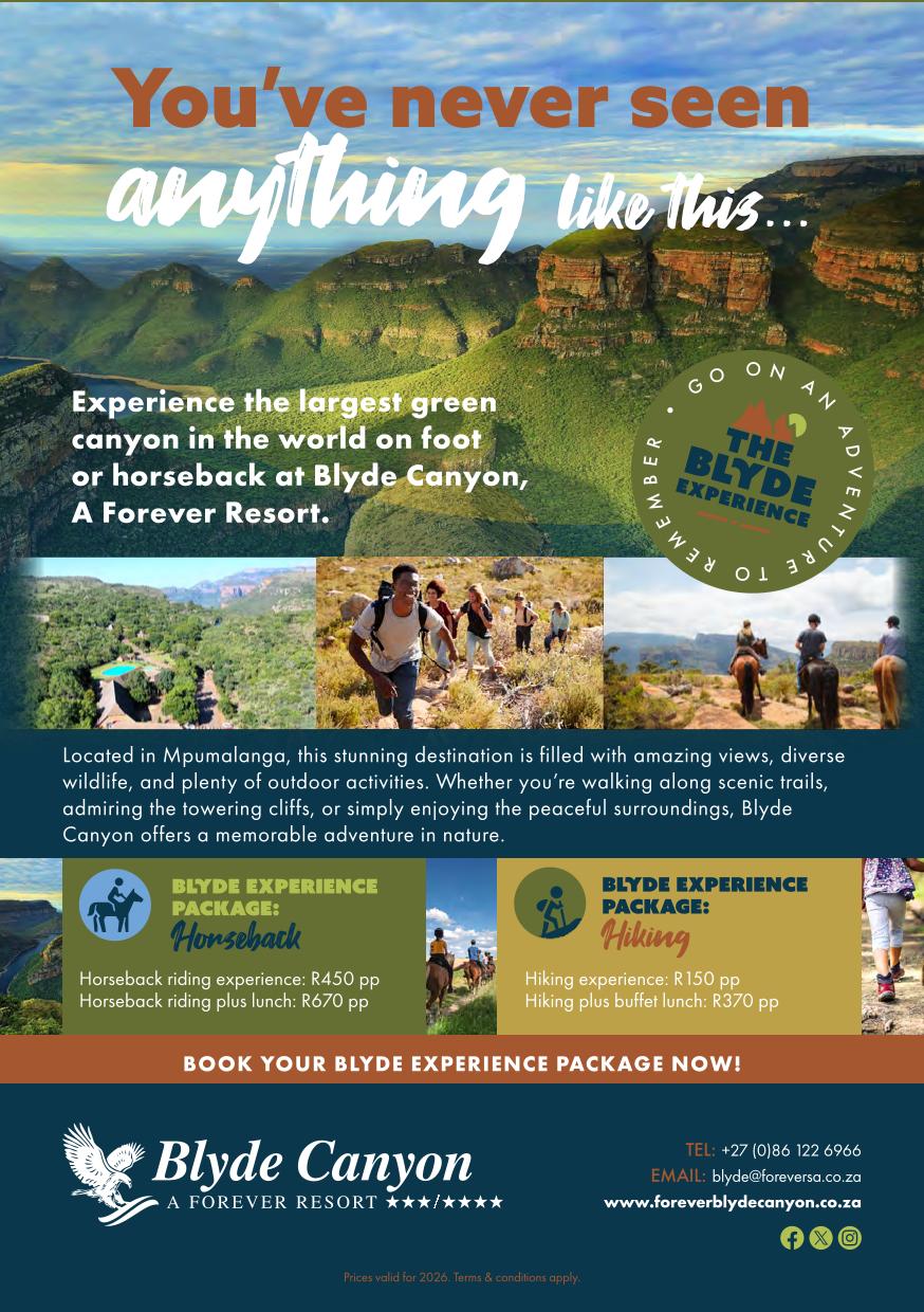 You've Never Seen Anything Like This...