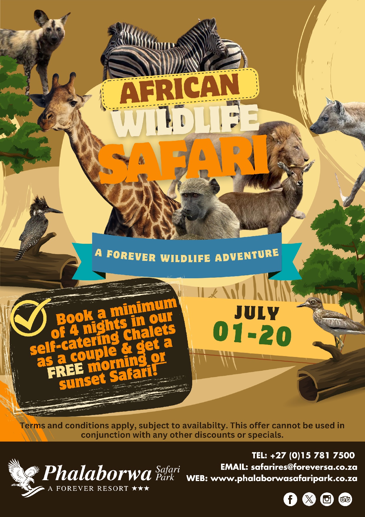 African Wildlife Safari